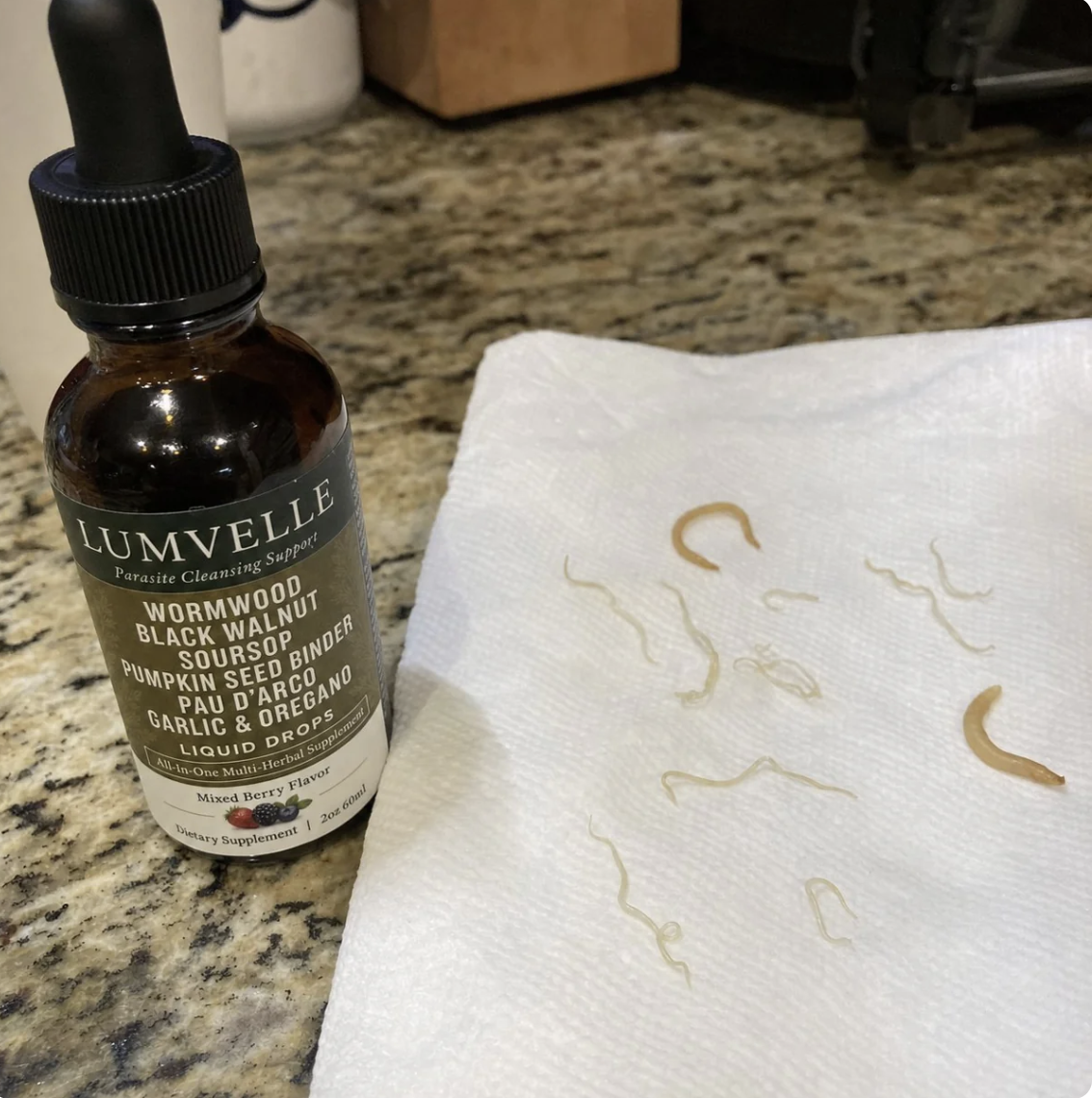 Exxtra Wild-Harvested Wormwood Herbal Drops
