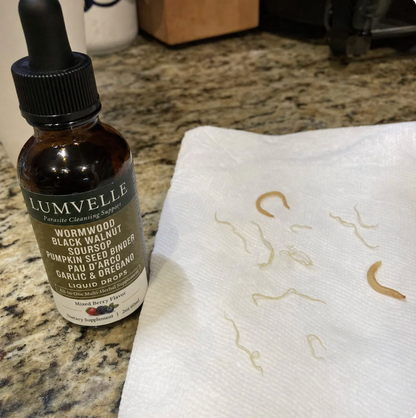 Exxtra Wild-Harvested Wormwood Herbal Drops